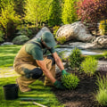 Transform Your Outdoor Space with Professional Landscaping Services